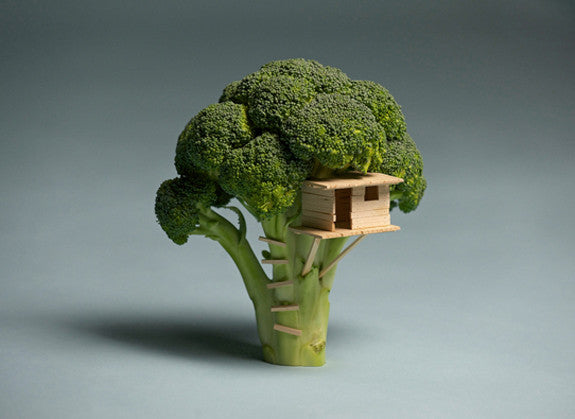 broc house